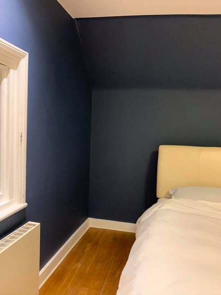 Bedroom with a navy feature wall and crisp cutting-in at the edges